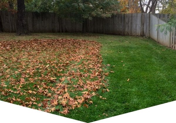 Residential lawn where the leaves are being removed by Worsham's Lawn Service.