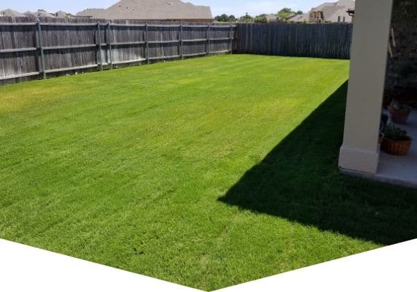 Lush, green residential lawn treated by Worsham's Lawn Service.